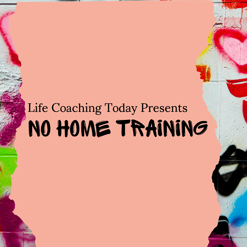 The No Home Training Show